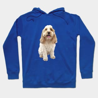 Cockapoo Cockerpoo Cutie Doodle Dog Hoodie